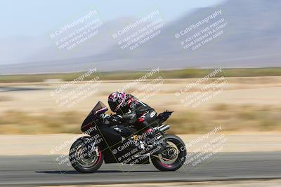 media/Apr-10-2022-SoCal Trackdays (Sun) [[f104b12566]]/Speed Shots Back Straight (930am)/